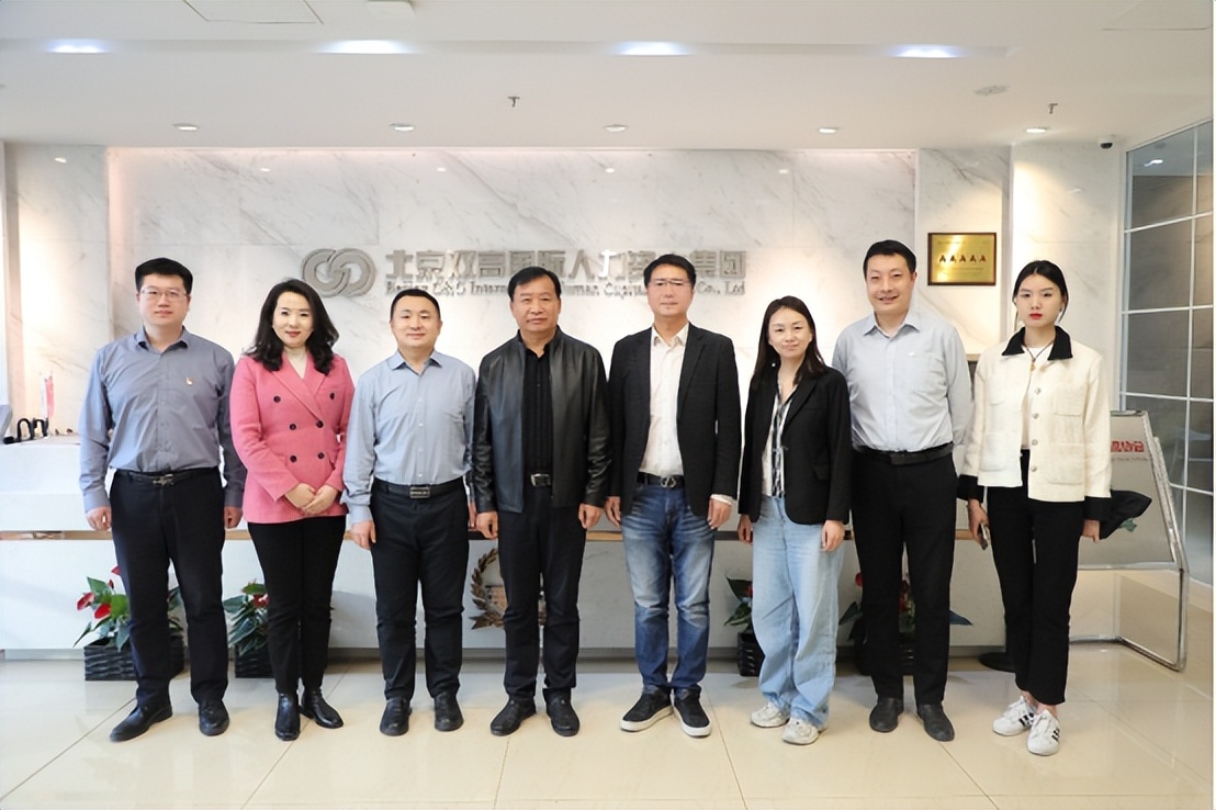 双高集团,双高合作计划