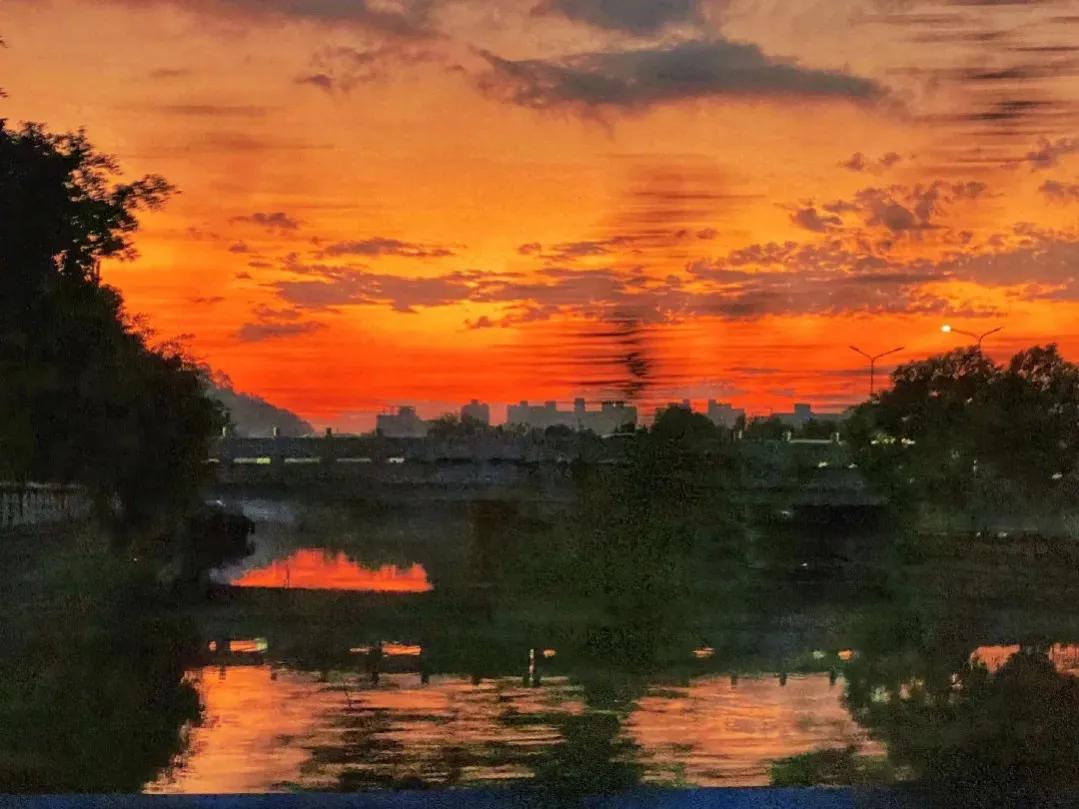 最高的智慧莫过于大智若愚,大巧若拙大辩若讷大智若愚