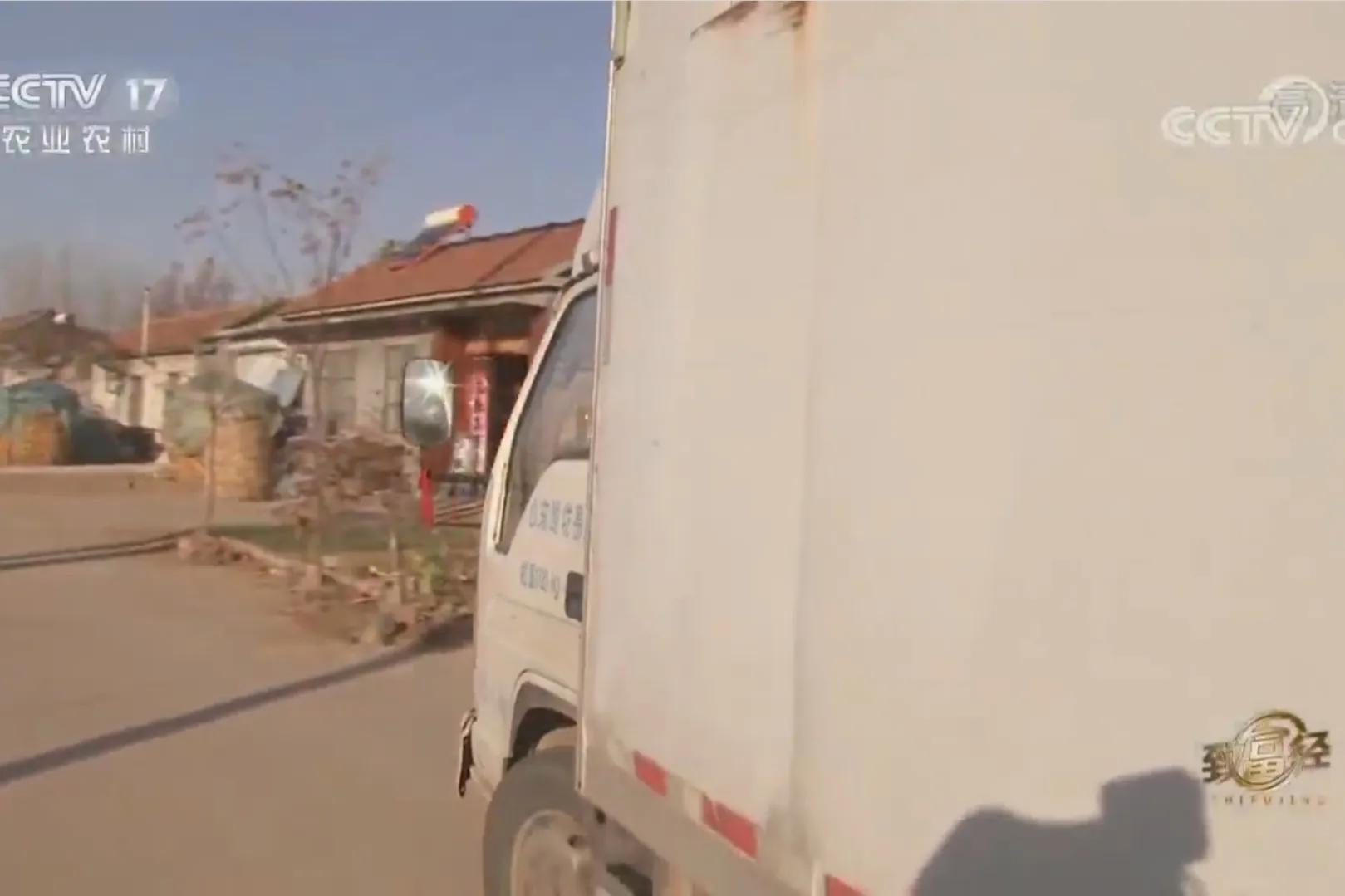 承包荒山致富的例子,美女承包52亩山地