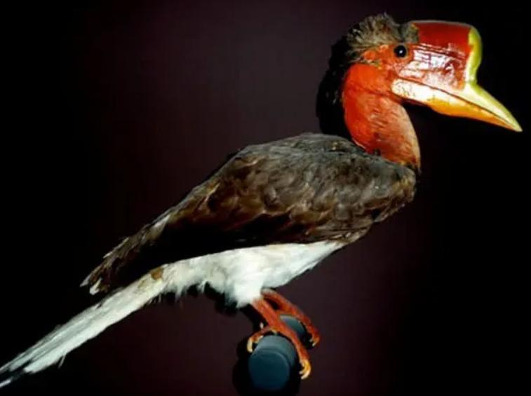 历史上真实存在的十大酷刑下集,中国古代十大酷刑排名