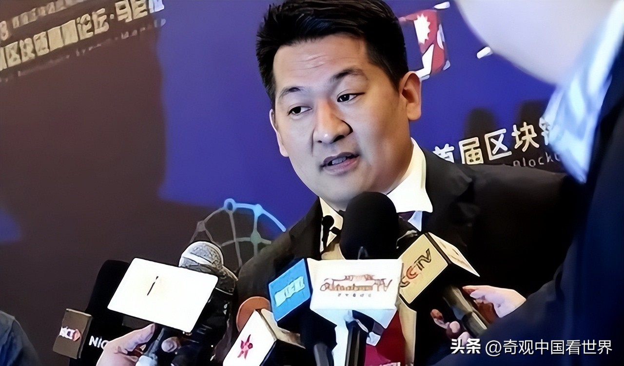 打击东南亚电信诈骗成功案例,东南亚电信诈骗案例及分析