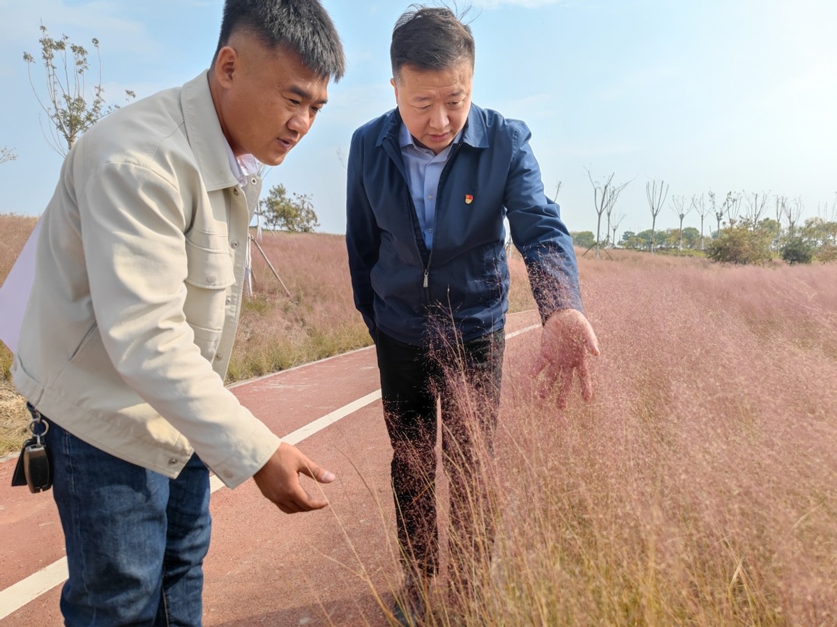 天津市东丽区：华明街道以实干实绩让*党**的二十大精神落实落地