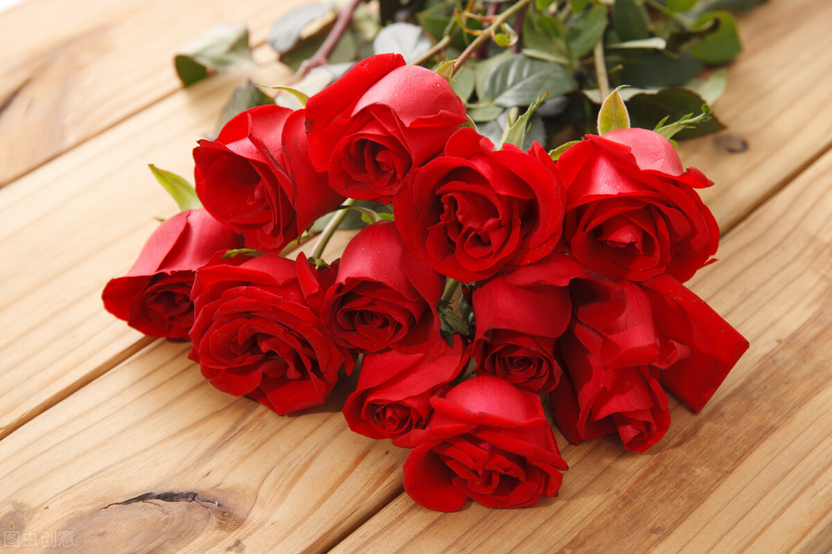 6朵香槟玫瑰的花语,常见玫瑰花语及传说