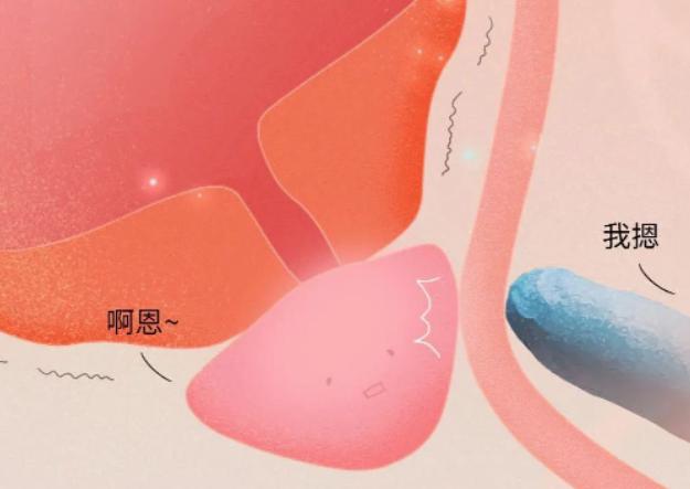 泌尿外科医生最不建议做的3件事,前列腺盲目治疗的误区