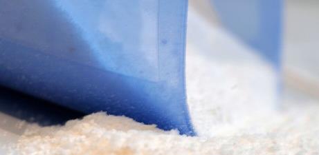 5个月的拉布拉多吃不胖,5岁拉布拉多不能站立