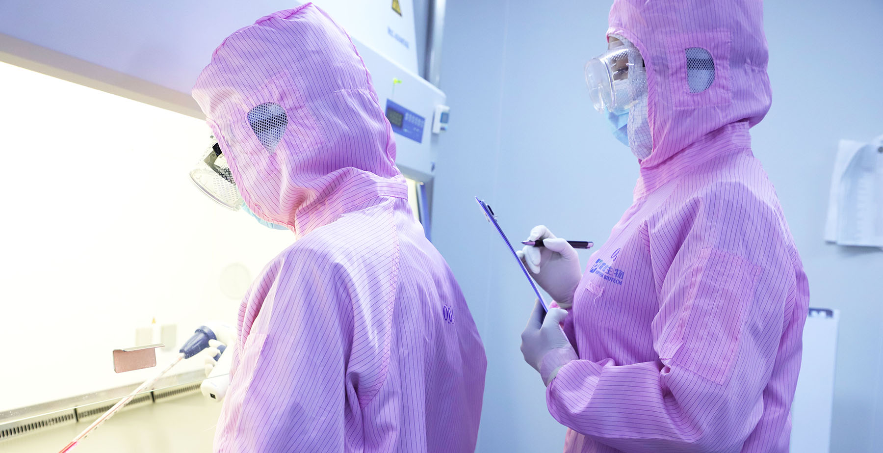 日本人动物胚胎实验长啥样,日本人动物胚胎实验