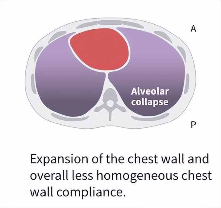 有球必应大号直播,有球必应2021直播视频