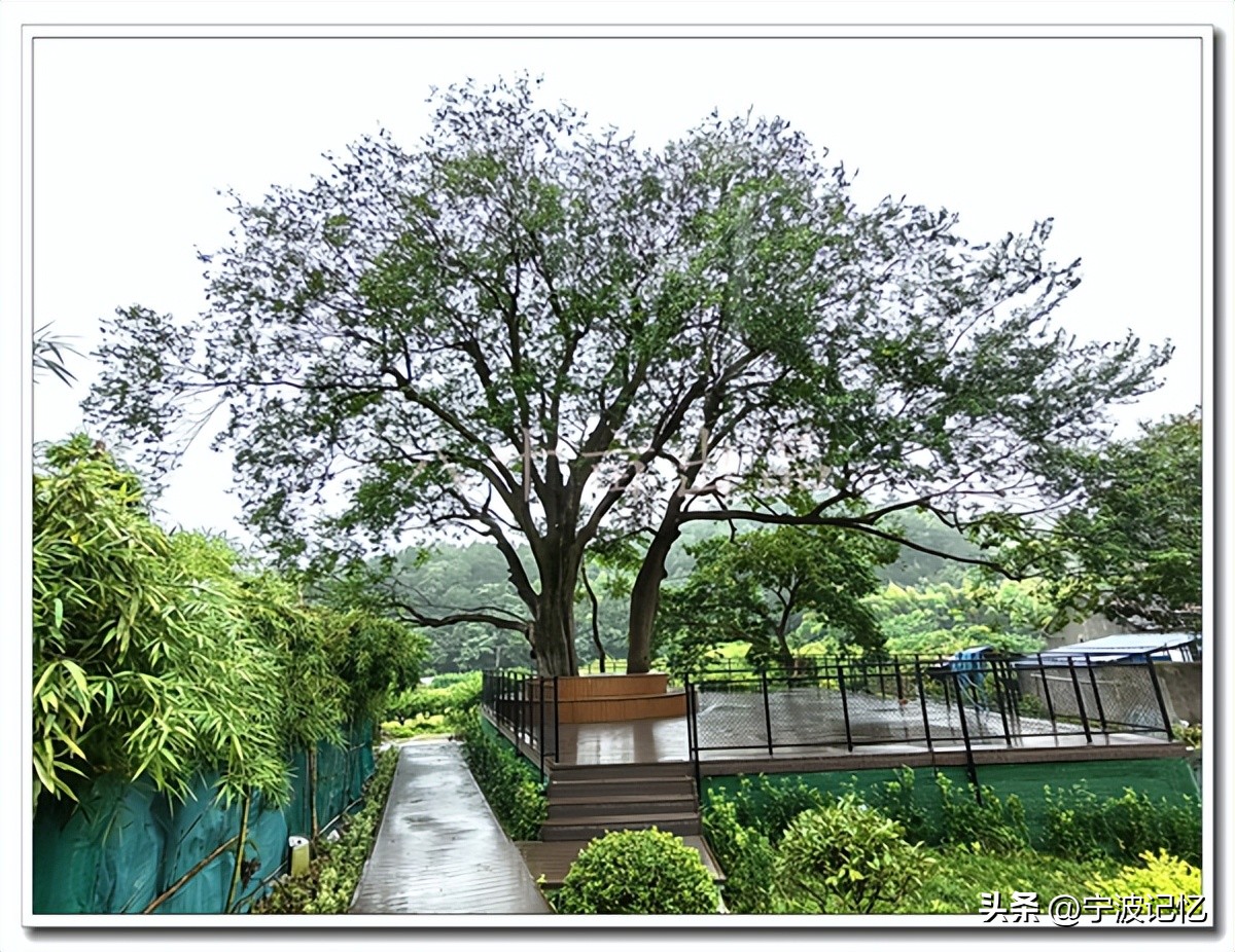 即将消失的依山村(前徐)——宁波市北仑区小港街道