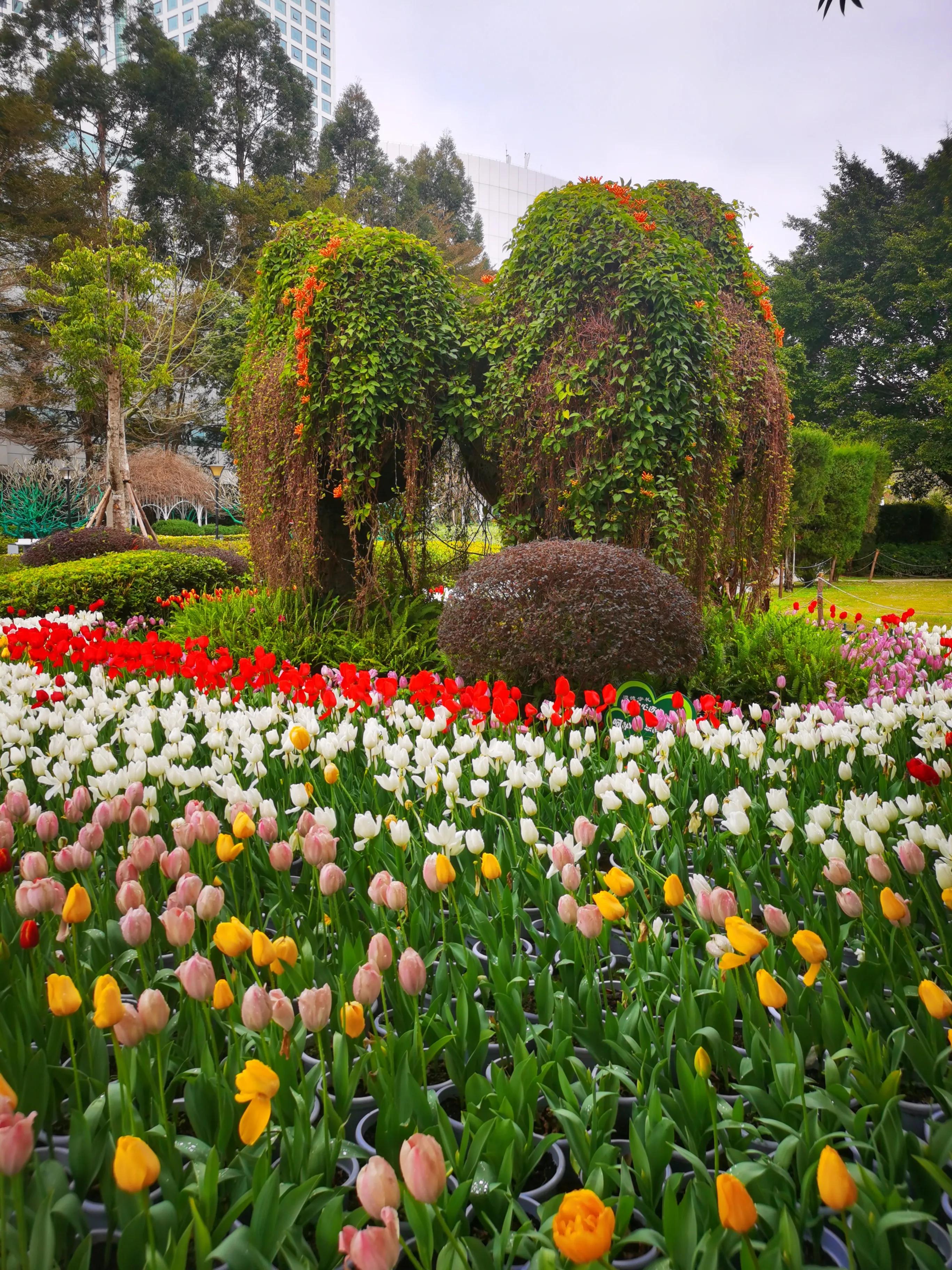 漫步在温泉河湿地公园,漫步福州静谧与繁华