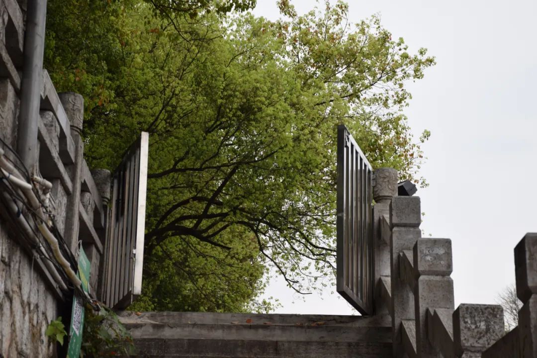 打飞的都要去坐的动车,怎么每站都这么好看