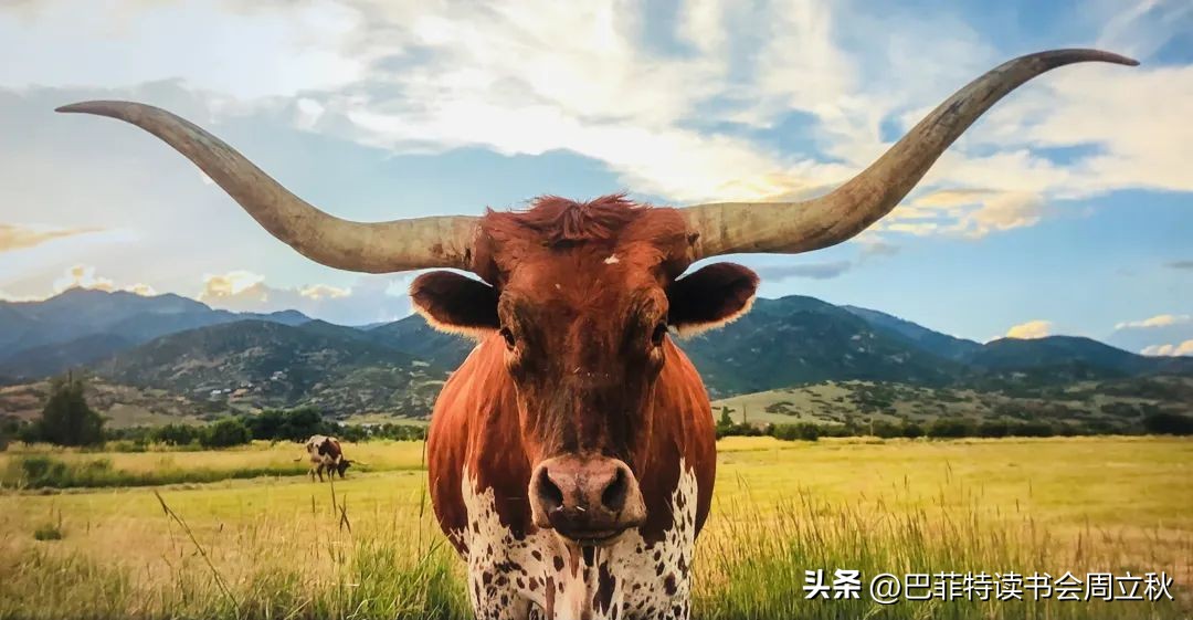 国际公认的股票估值,股市估值重估