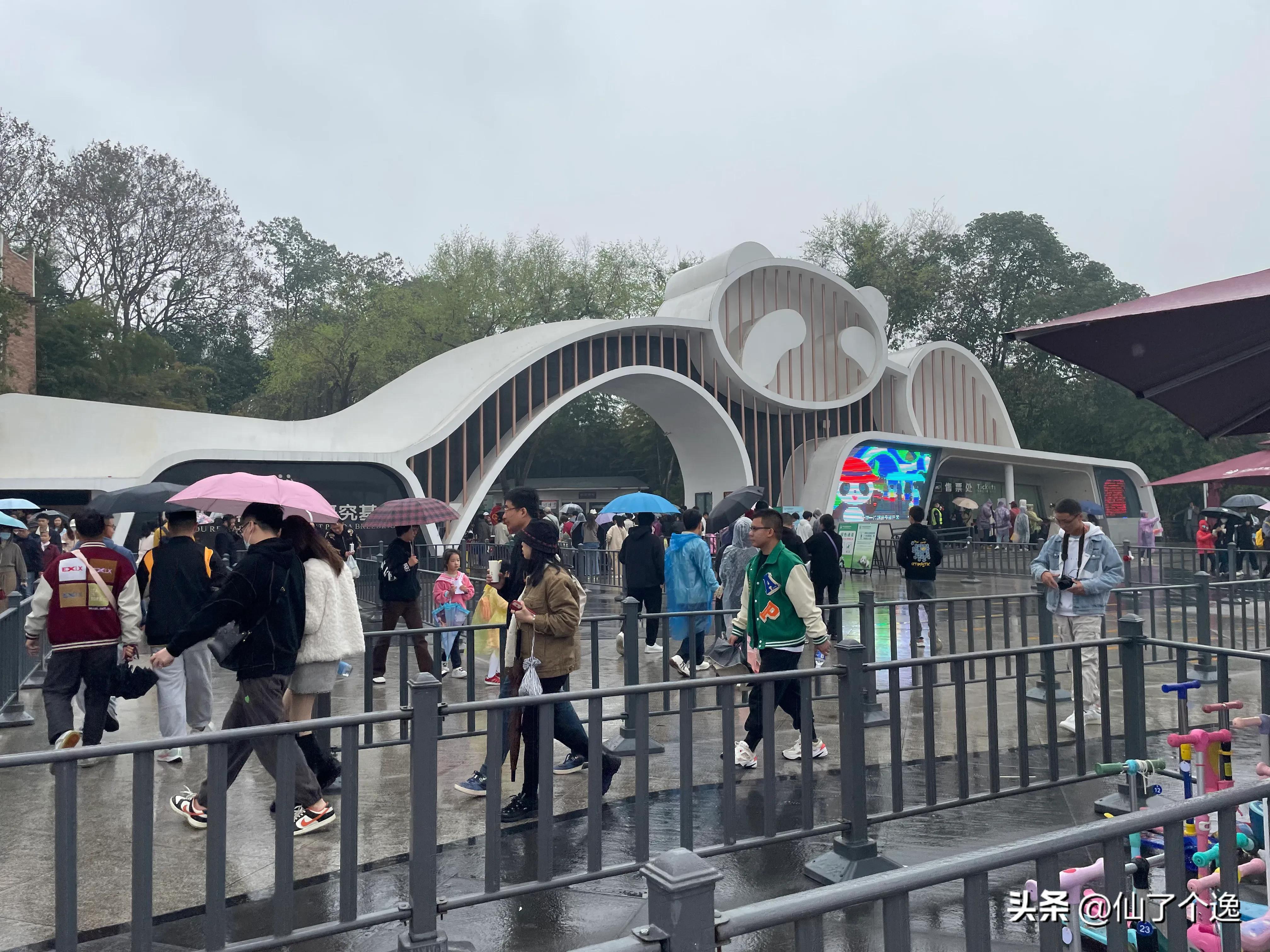 在外国看大熊猫怎么收费,中国5块看大熊猫