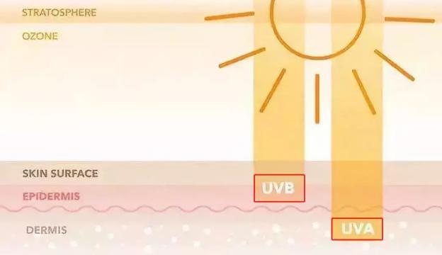 澳洲伊肤姿防晒 (一款全光谱抗衰老防晒霜)