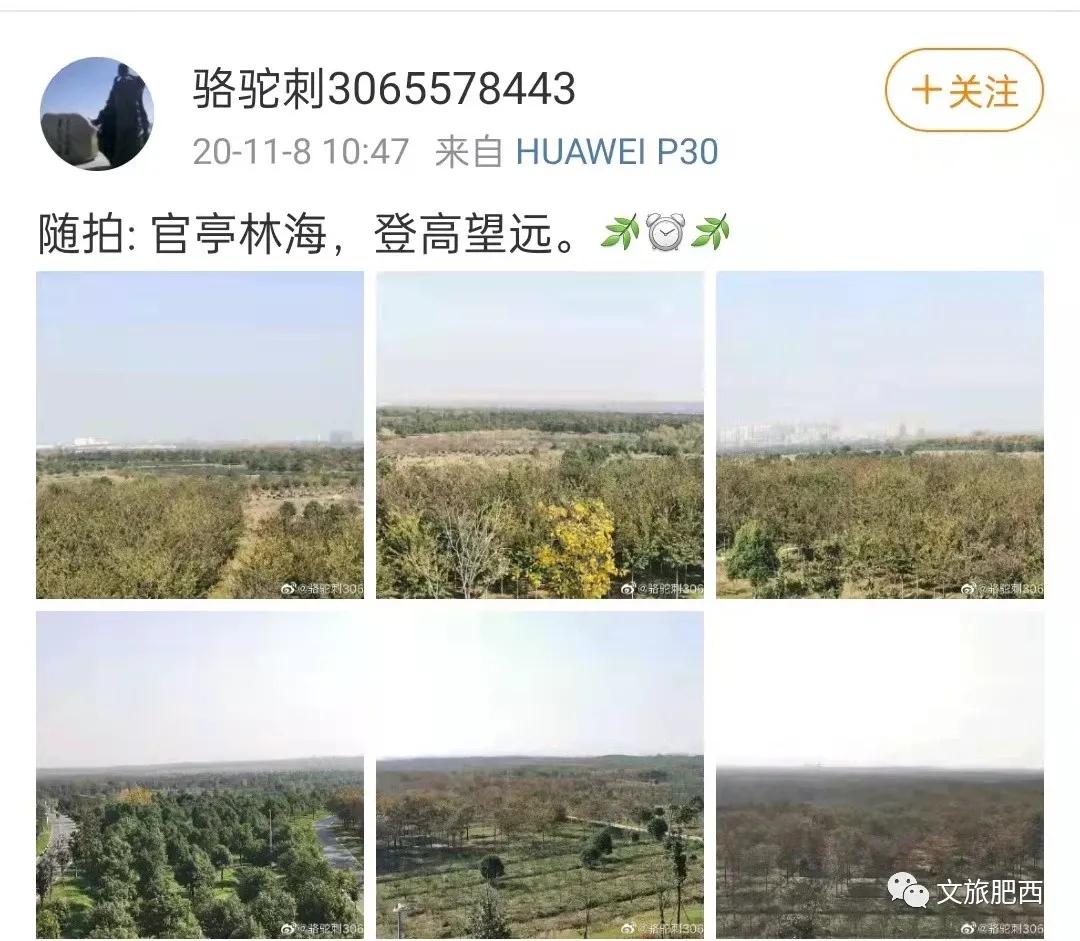 原来，在社交平台中，肥西的真实风景是这样的