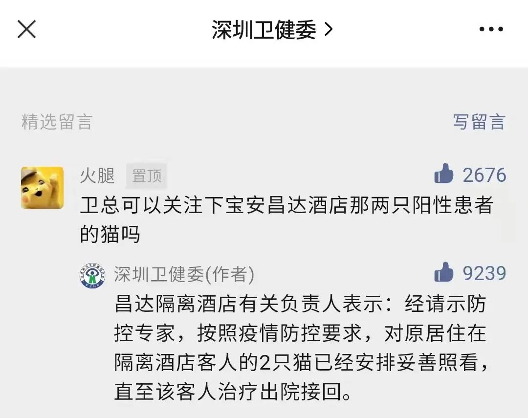 主人被隔离宠物怎么办,主人确诊了猫狗怎么办