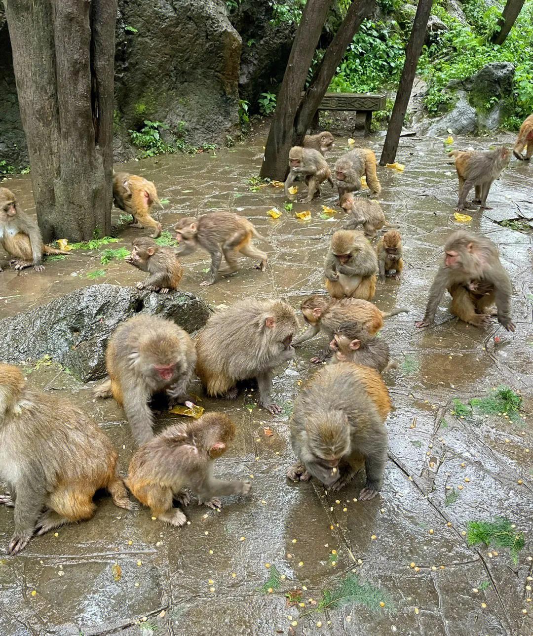 贵州贵阳黔灵山攻略,贵州黔灵山附近旅游攻略