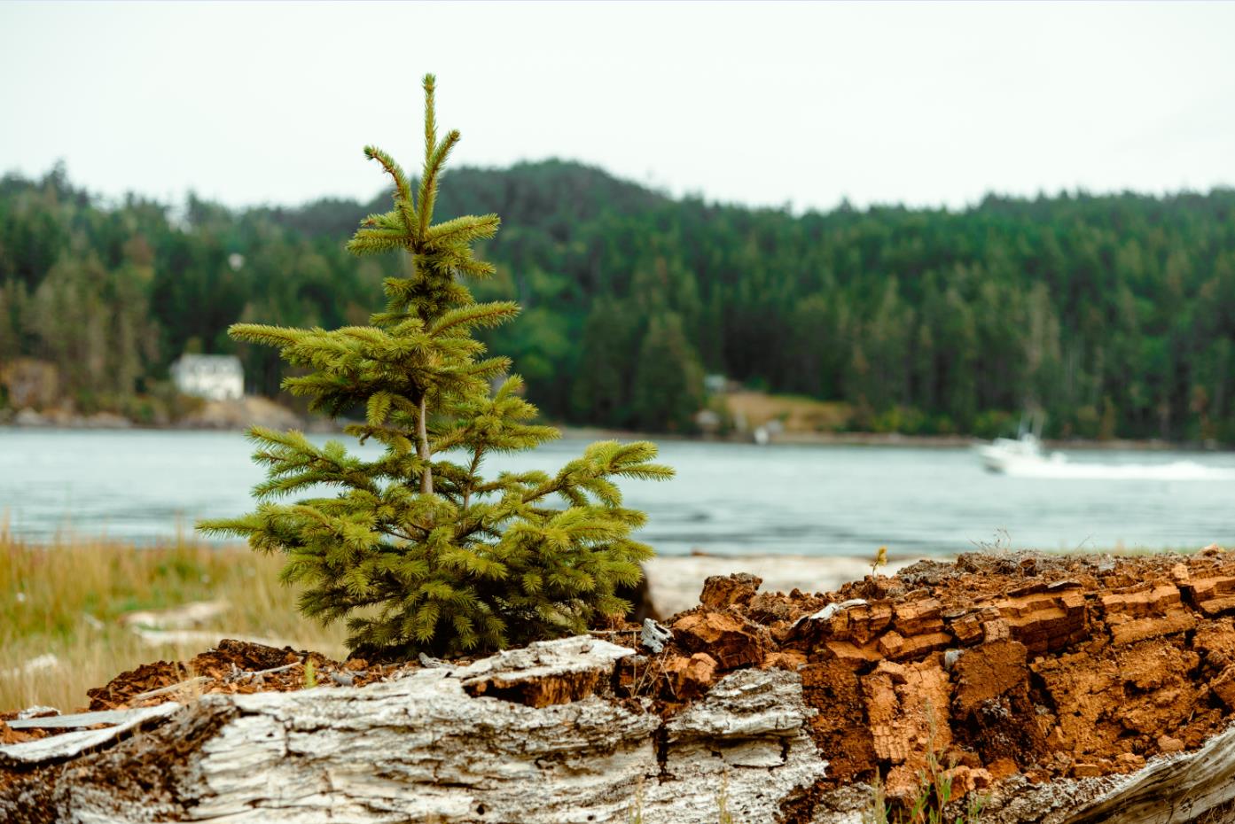 哄女人的小技巧,如何用哄的方式去追女人