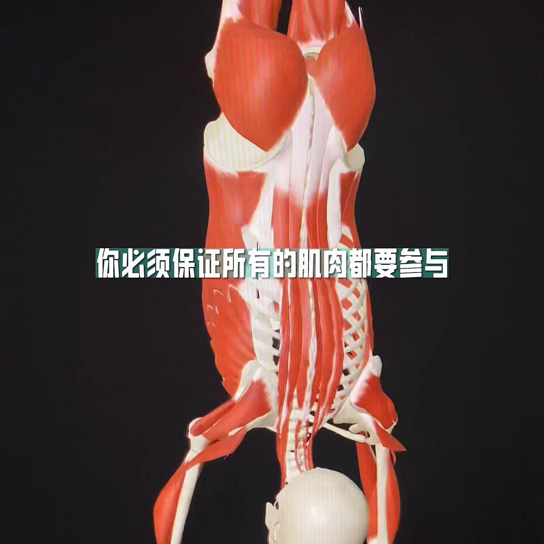 体态歪斜矫正,体态歪斜面部变形