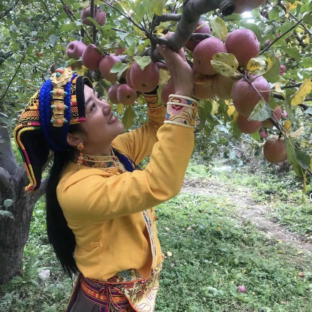 四川女孩嫁西藏带动全村人致富,四川姑娘放弃欧洲工作嫁到藏区