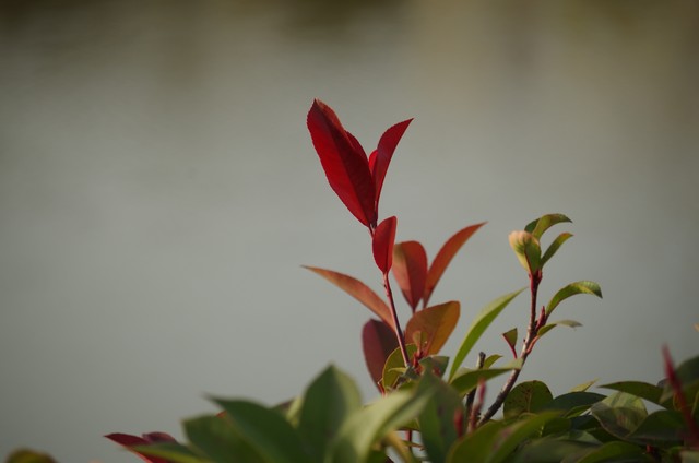 “自我”就是烦恼，只因我们的内心缺失一个强大的主宰——天道