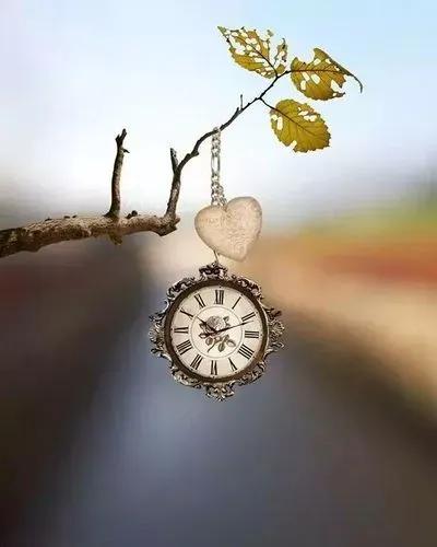 如何才能成功创业,如何才能成功戒赌