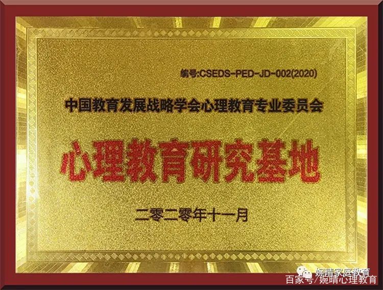 婉晴心理咨询是正规吗,婉晴教育心理咨询郑州