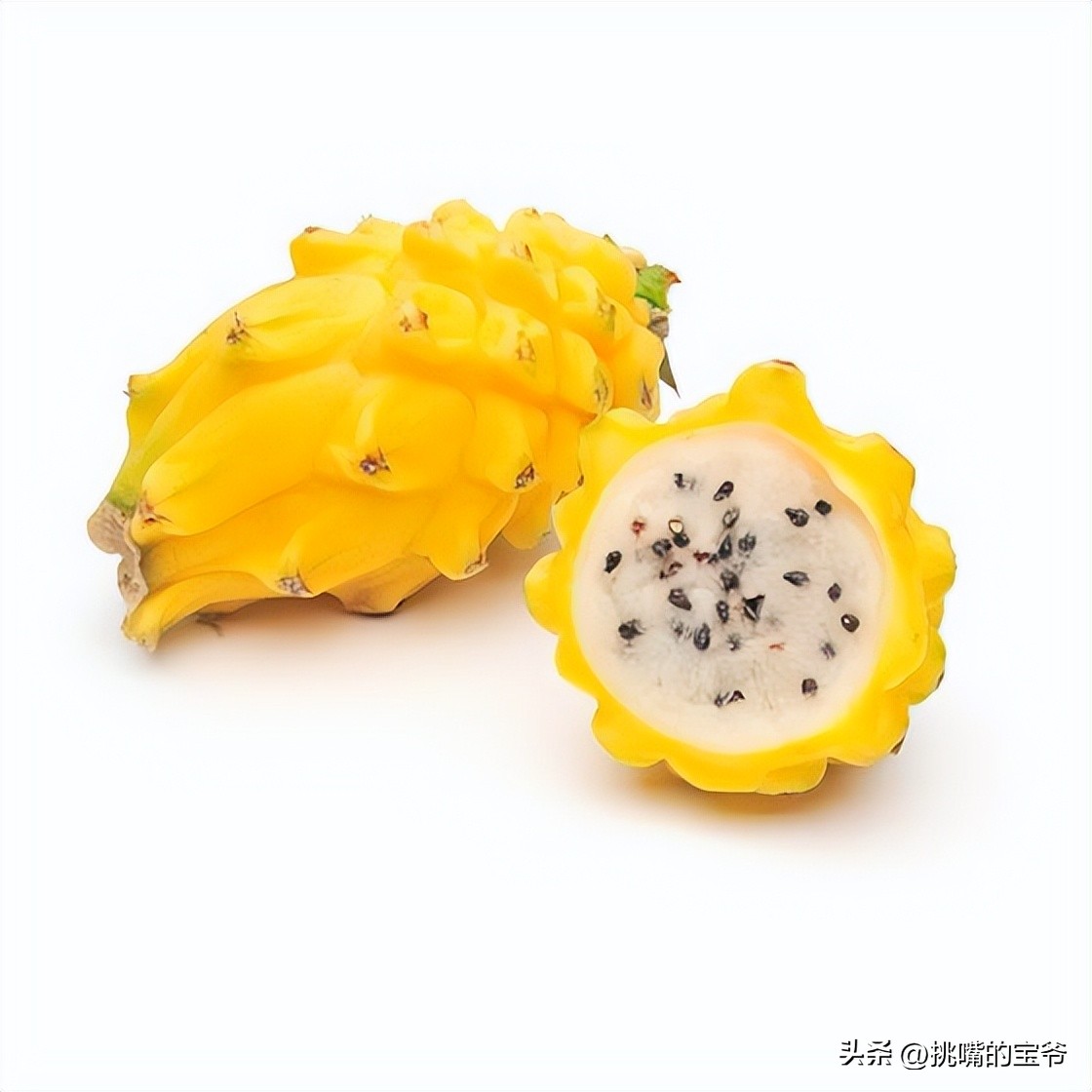 燕窝果跟黄色火龙果有什么区别,燕窝火龙果和黄皮火龙果区别