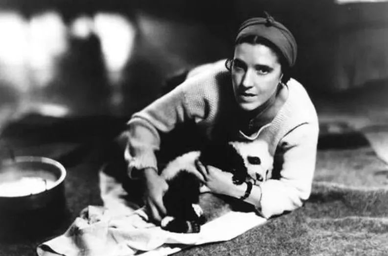 多少人关注丫丫,现在有多少人在关注丫丫