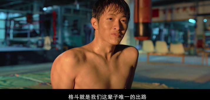 王宝强的八角笼中票房突破几亿,王宝强的八角笼中票房破多少了