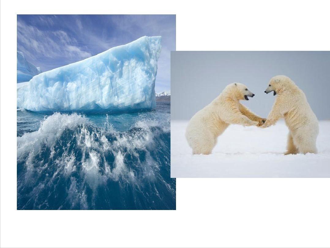 北极大陆架划界的国际法问题研究,北极大陆架划界