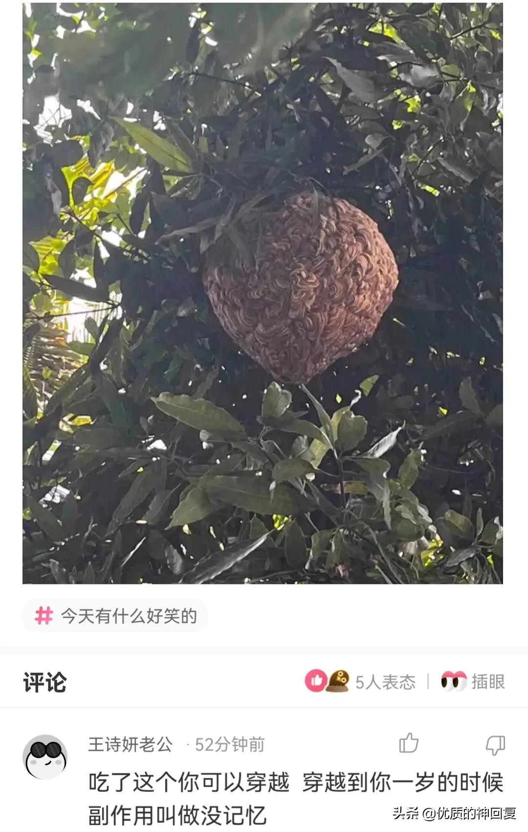 你知道衣服上的字什么意思吗,女生衣服上的字母含义