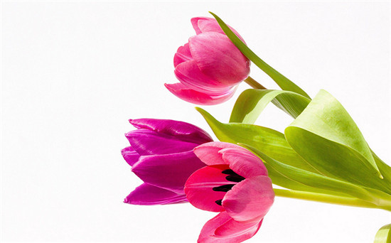 回南天墙壁全是水用什么材料防潮,回南天墙面潮湿怎么补救