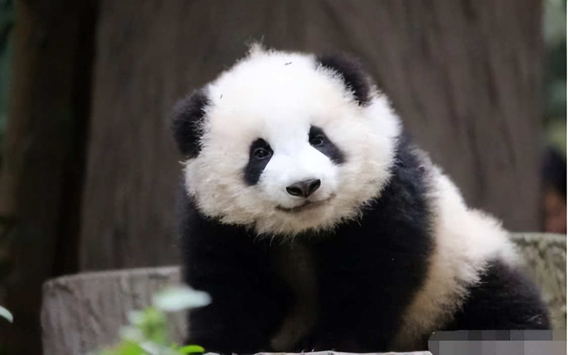 中国十大顶流女明星,顶流女明星穿越电视剧