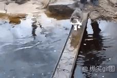 单身狗慎入合集国漫,单身狗慎入高甜预警