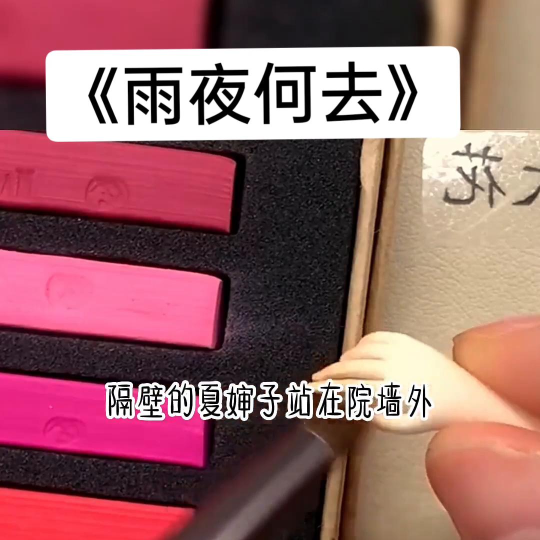 书名《雨夜何去》#解压