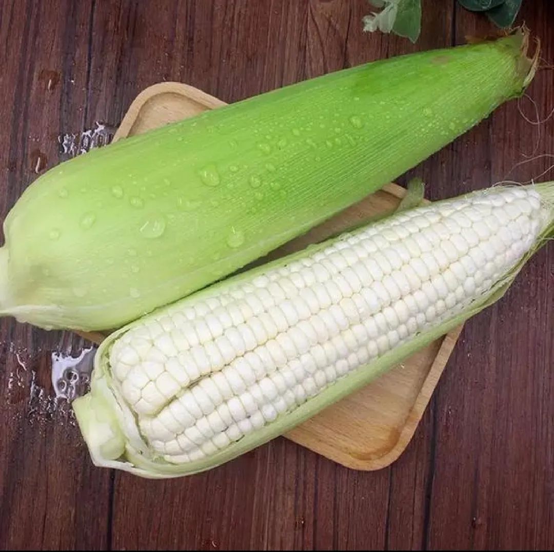 我河北沧州人，从网络安防转行种300亩糯玉米，年销售300吨农产品