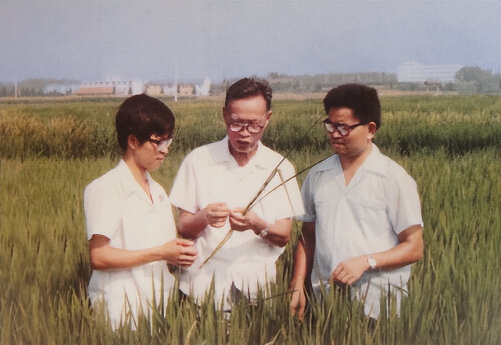 从吃饱到吃太饱,从吃饱到吃好餐桌变化