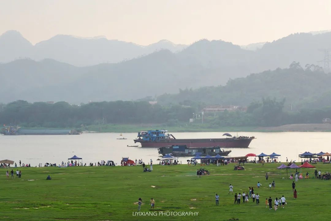 清远鸡什么地方最好,清远鸡冷知识