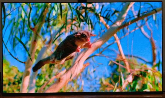 绱㈠凹鏃楄埌鐢佃a95l,绱㈠凹澶у睆鐢佃璇勬祴