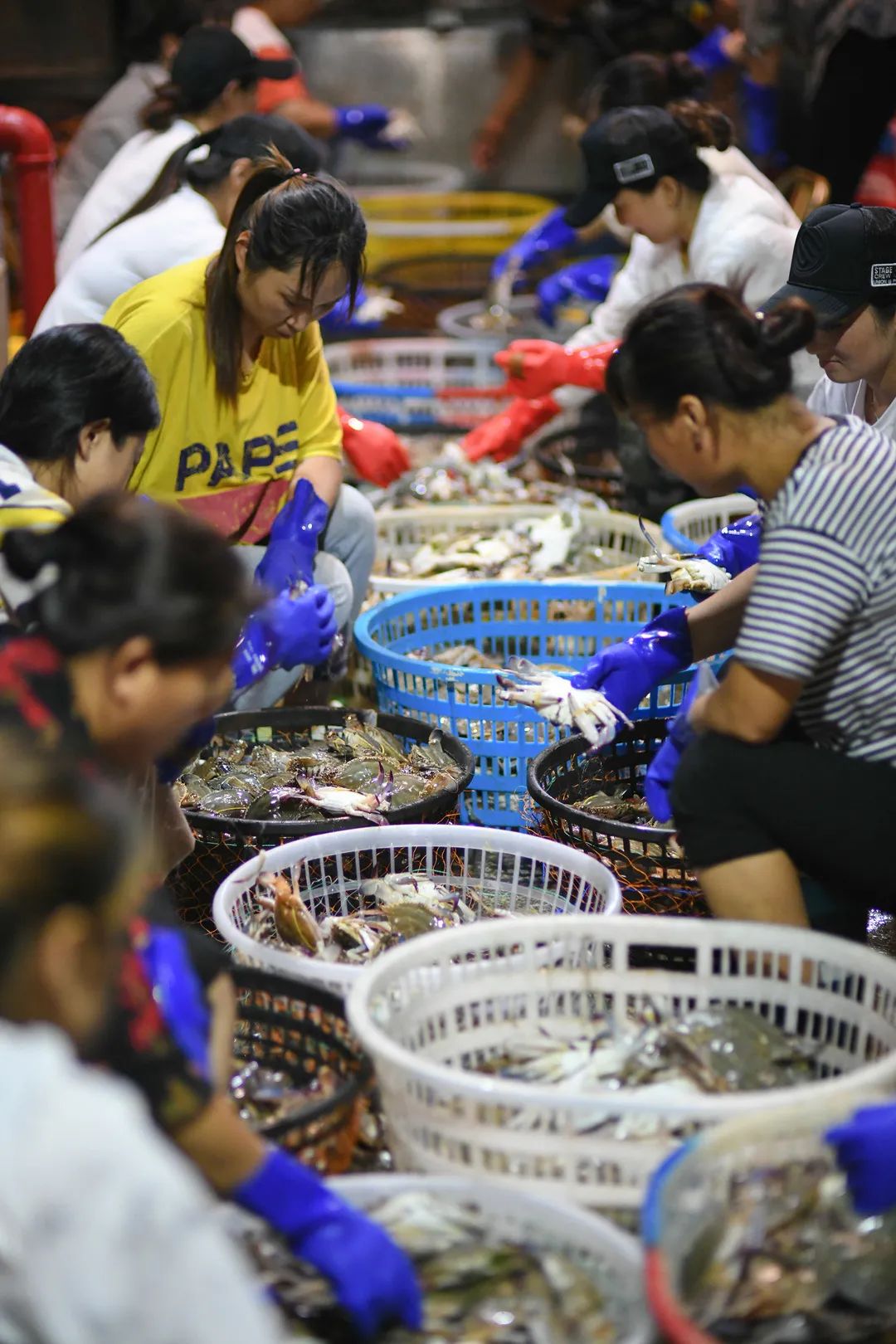 大闸蟹攻略带你品味大闸蟹,哪里大闸蟹可以媲美阳澄湖大闸蟹