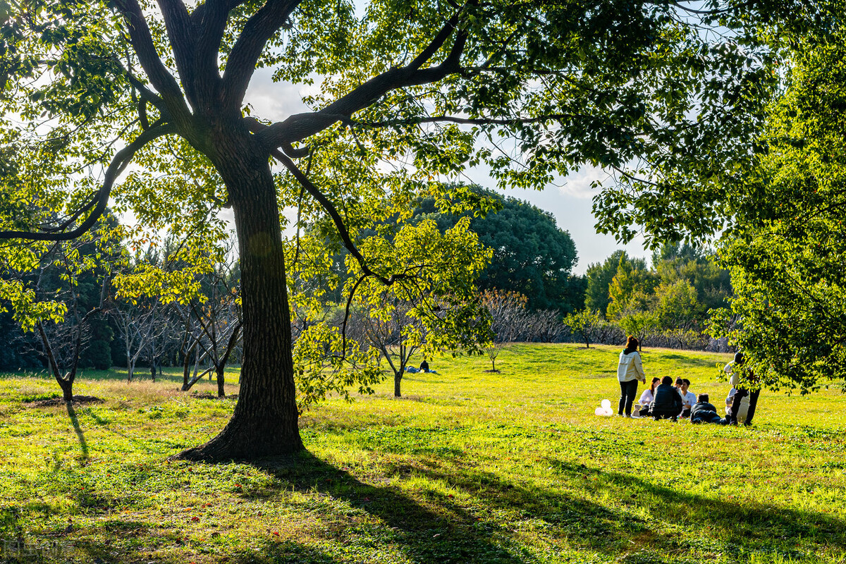 女作家去做保姆——亲密的接触（205）