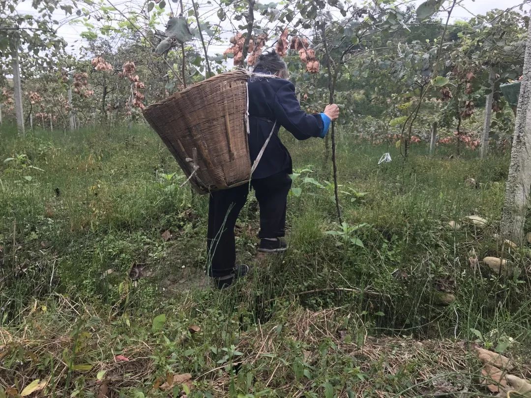 浙江龙泉发现古墓,深山发现古墓宝藏