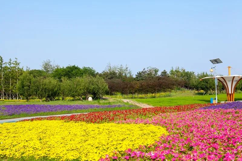 辽宁锦州世博园旅游,辽宁锦州世博园