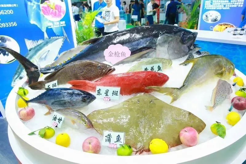 全球海鲜贸易节在哪里,全球海鲜贸易节在哪