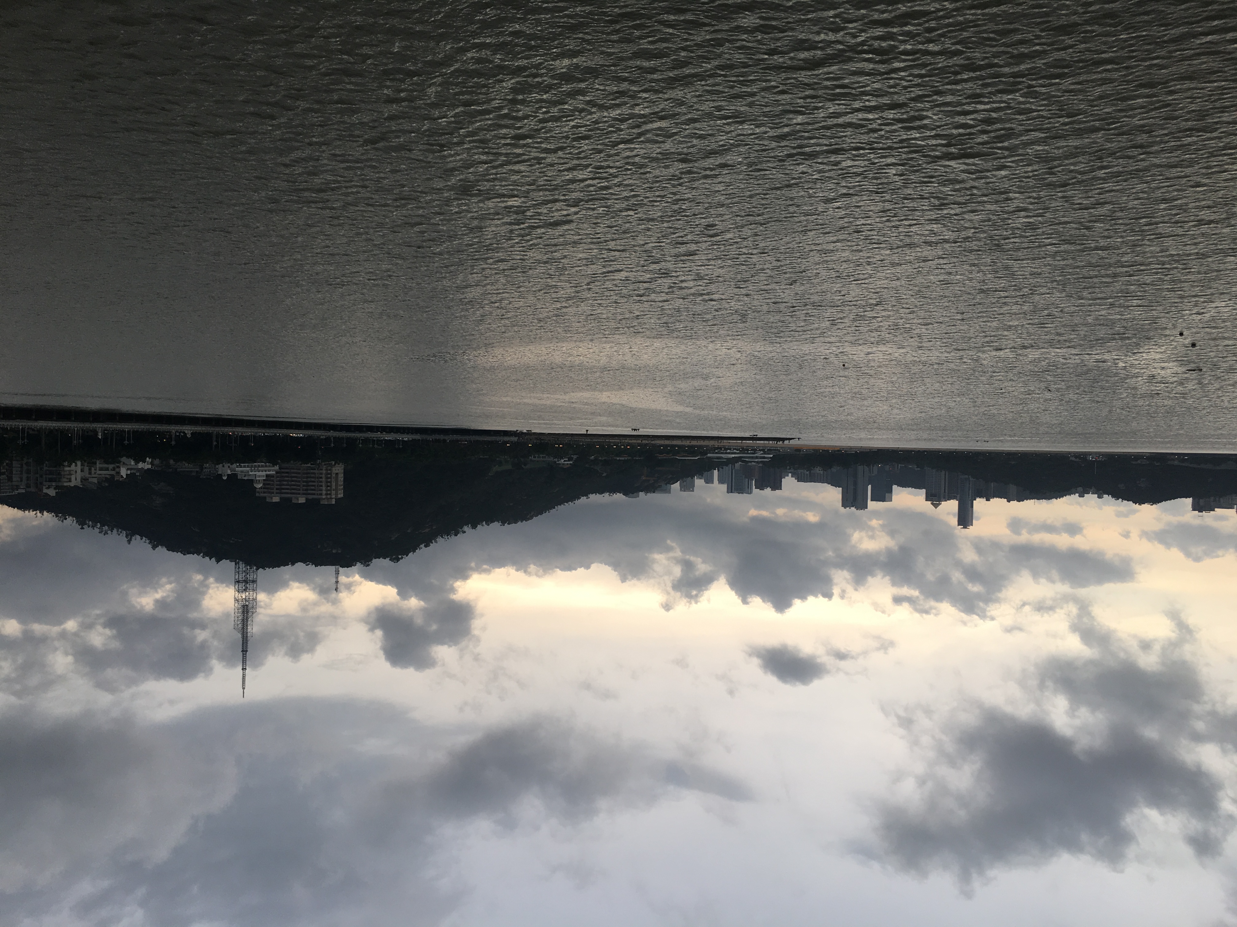 情迷珠海，最美海狸鸟