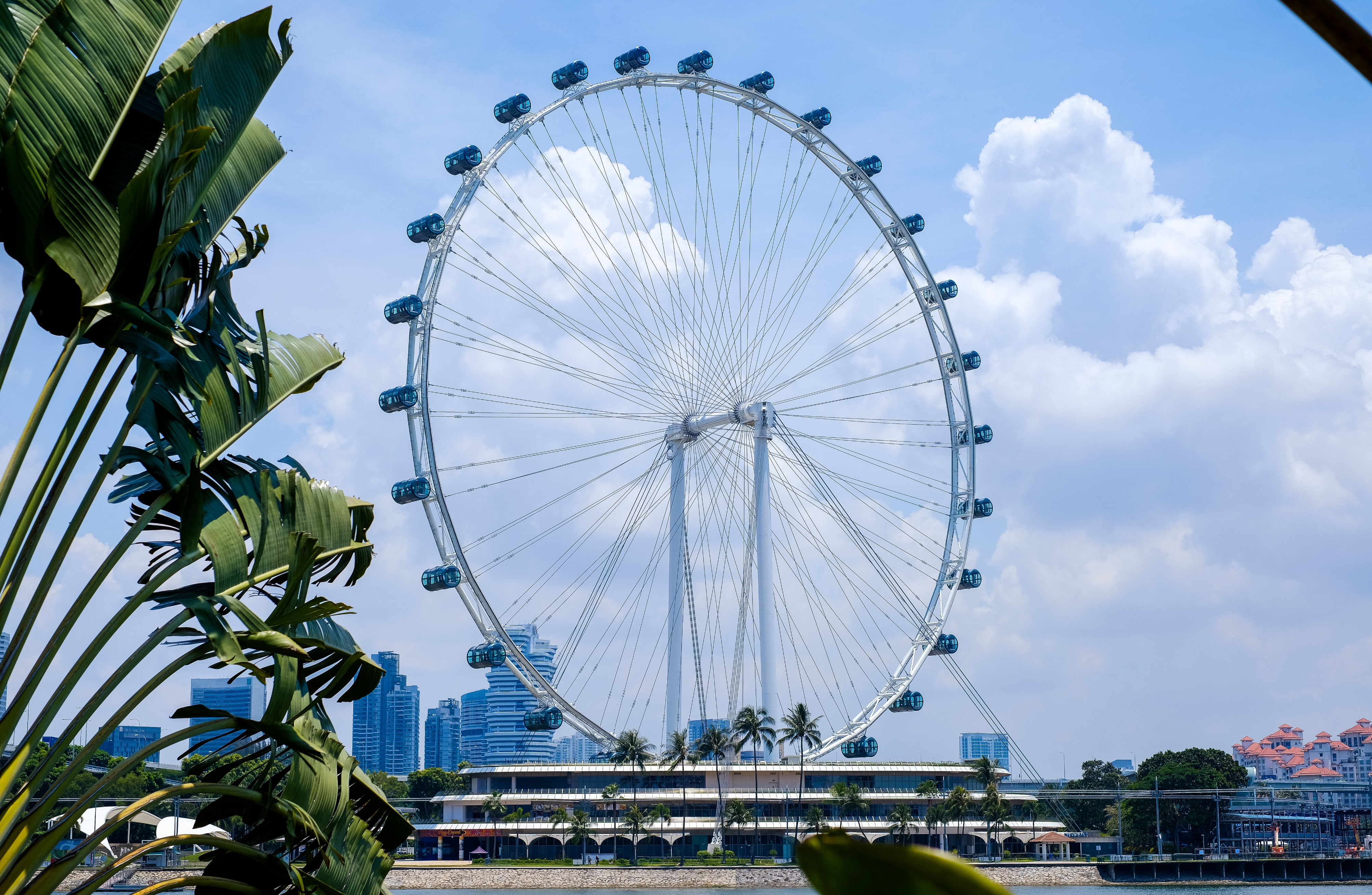 新加坡花园游玩攻略,新加坡自由行旅游指南