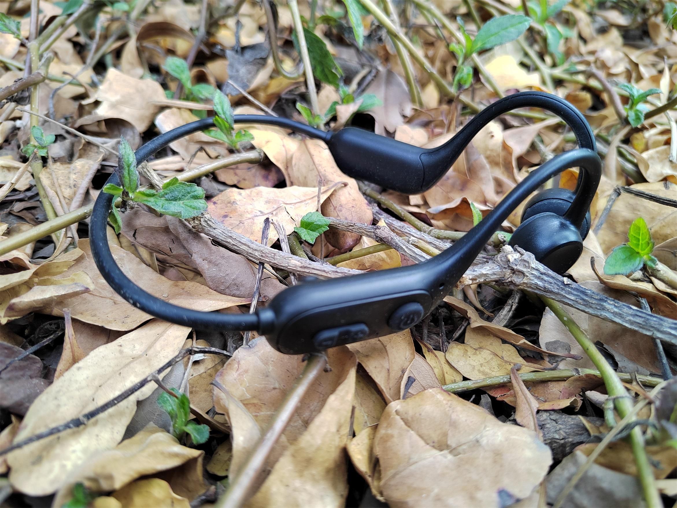 我最喜欢的艺术家英文作文,我最喜欢的艺术家