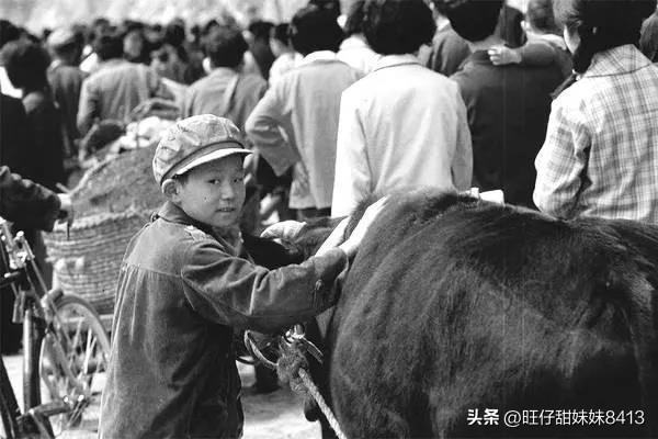 怀念七八十年代的农村,80年代中国真实老照片