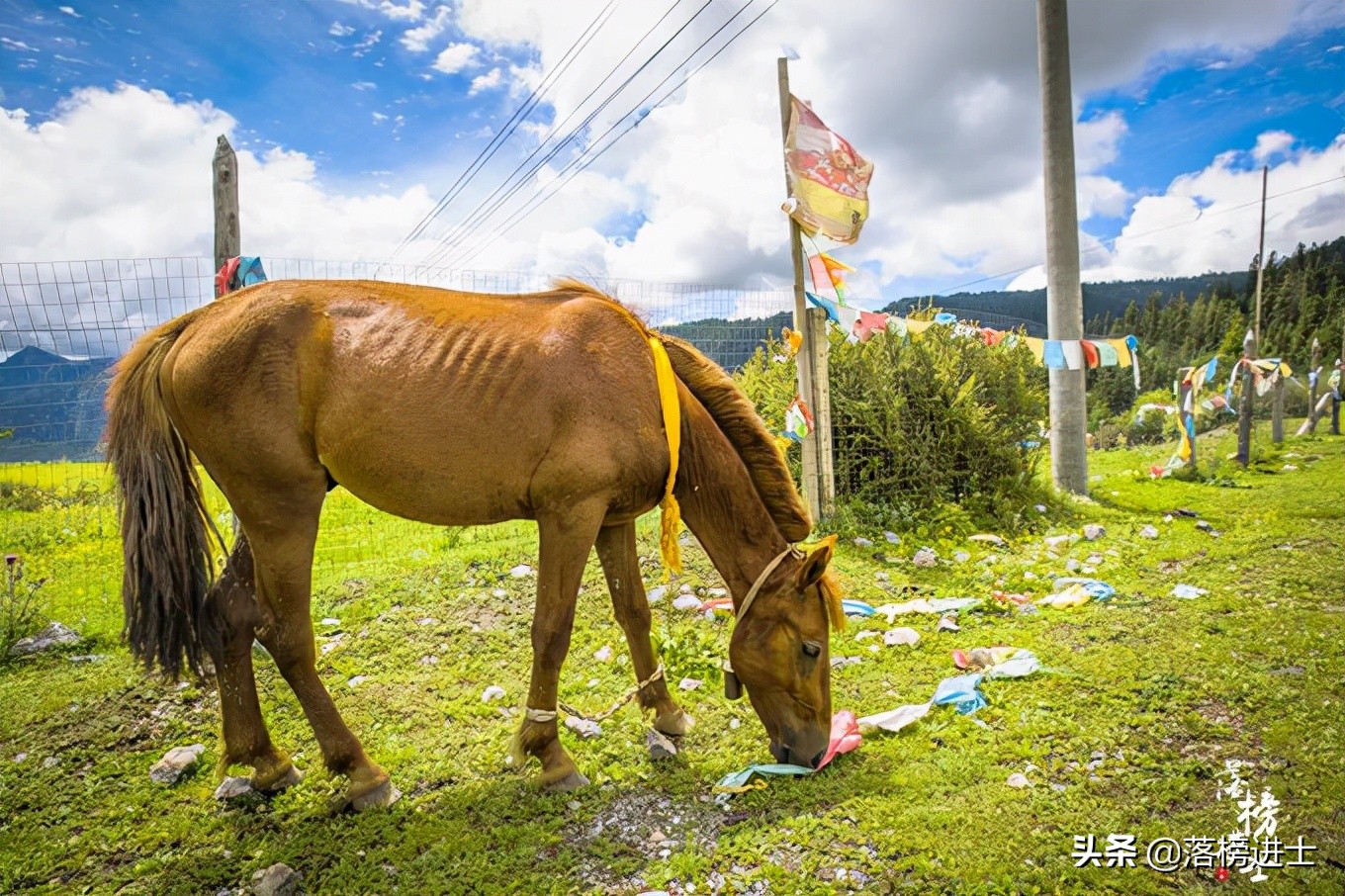 甘南哪个时间更值得去看看,在甘南的神仙美景里露营一晚