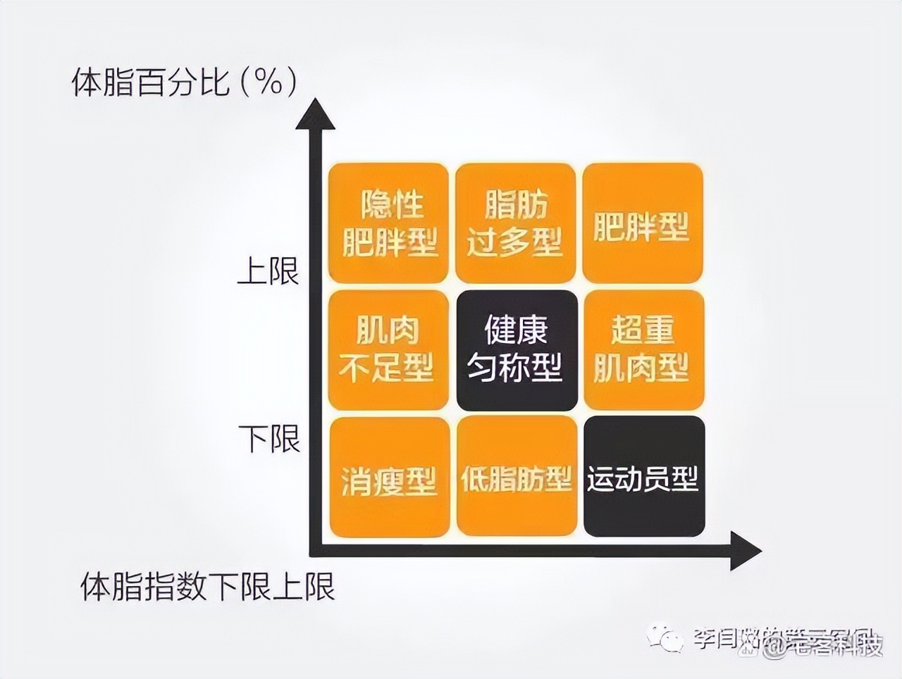 教你看懂检测报告,看懂体测报告中的骨骼肌与体脂